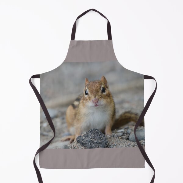 Item preview, Chipmunk designed and sold by rodmacpherson.