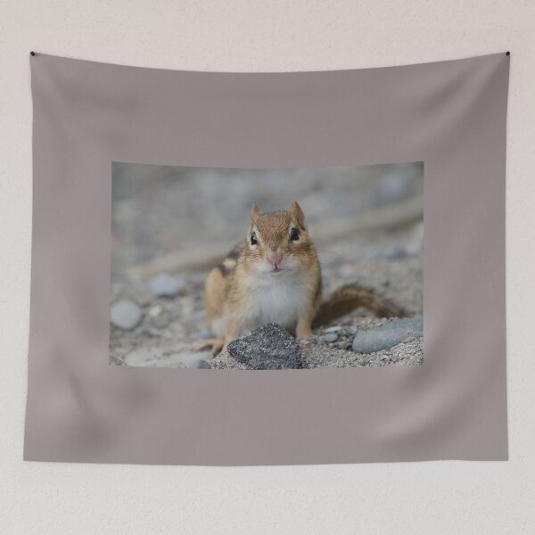 Item preview, Chipmunk designed and sold by rodmacpherson.