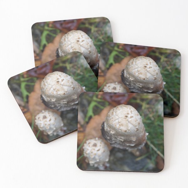 Item preview, Momma and Baby Mushroom designed and sold by AGODIPhoto.