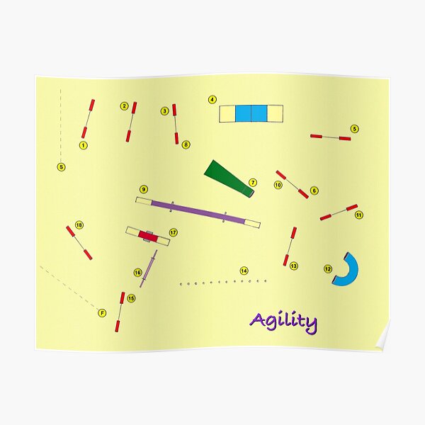 Agility Course Poster