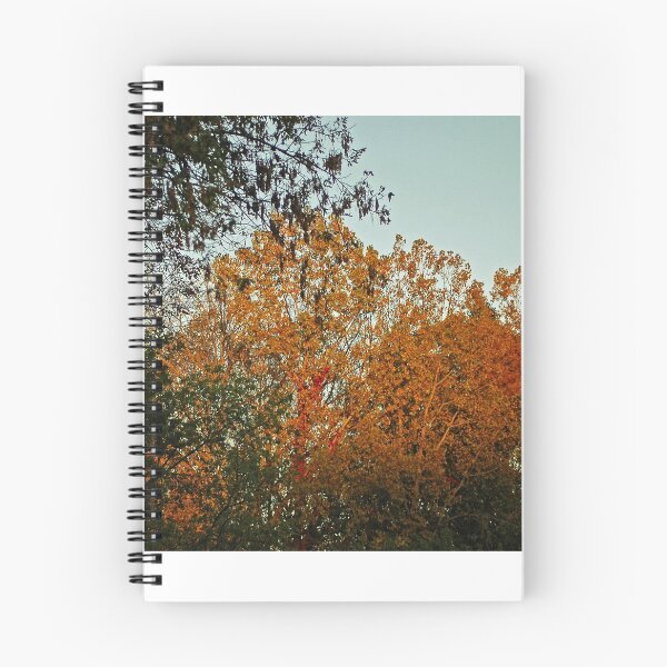 Item preview, Fall Pallet designed and sold by gharris.