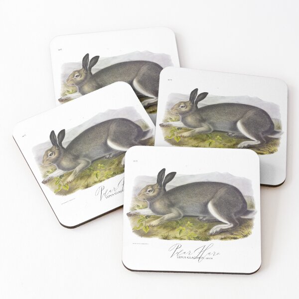 Item preview, Beautiful Bunny: an illustration of a Hare by J.J. Audubon 1844 designed and sold by ebrawne.