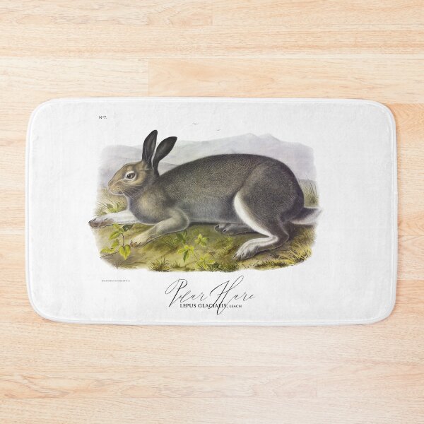 Item preview, Beautiful Bunny: an illustration of a Hare by J.J. Audubon 1844 designed and sold by ebrawne.