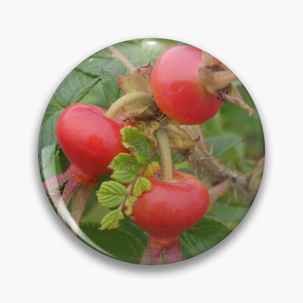 Item preview, Wild Rose Hips designed and sold by Tara  Baxendale.