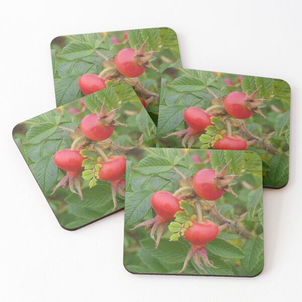 Item preview, Wild Rose Hips designed and sold by Tara  Baxendale.