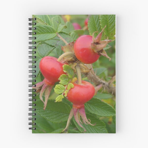 Item preview, Wild Rose Hips designed and sold by Tara  Baxendale.