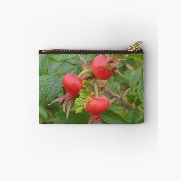 Item preview, Wild Rose Hips designed and sold by Tara  Baxendale.