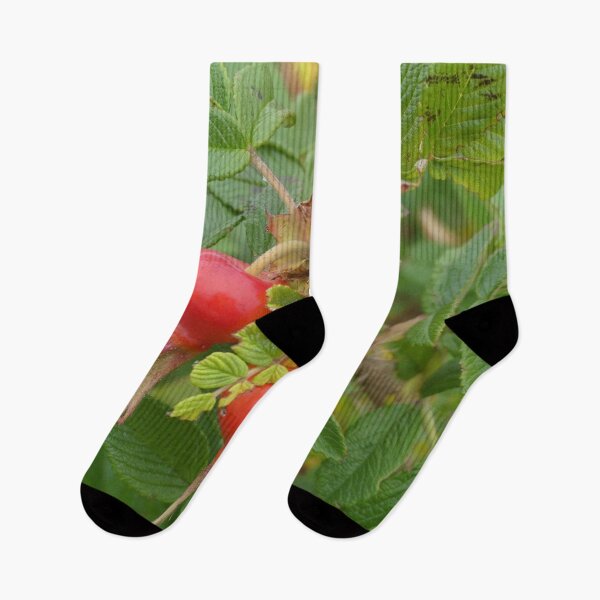 Item preview, Wild Rose Hips designed and sold by Tara  Baxendale.