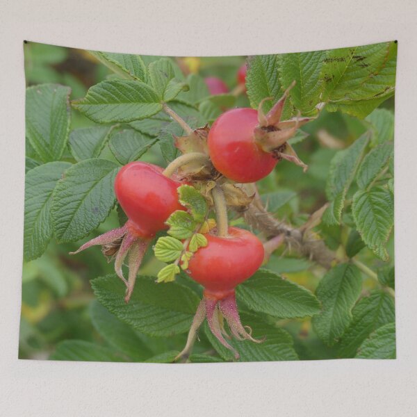Item preview, Wild Rose Hips designed and sold by Tara  Baxendale.