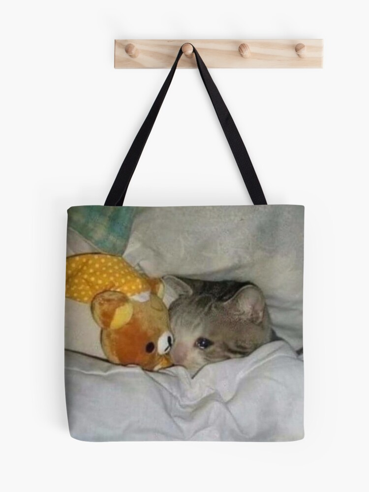 sad cat with teddy bear