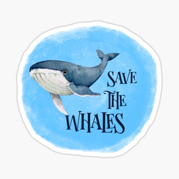 Save The Whales Sticker
