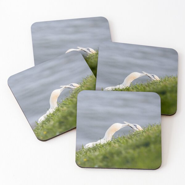 Item preview, Northern gannet pair exchanging grass for their nest designed and sold by wellsie82.