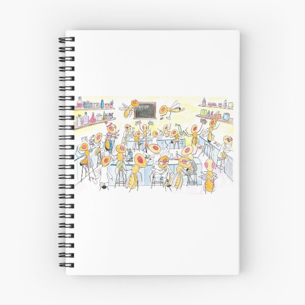 Item preview, Where's Wally Fruit Fly cartoon designed and sold by DaniEdmunds.