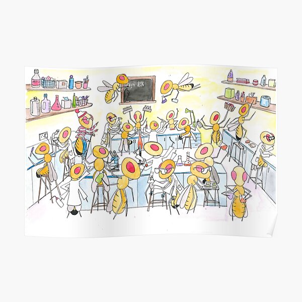 ¿Dónde está Wally Fruit Fly? Póster