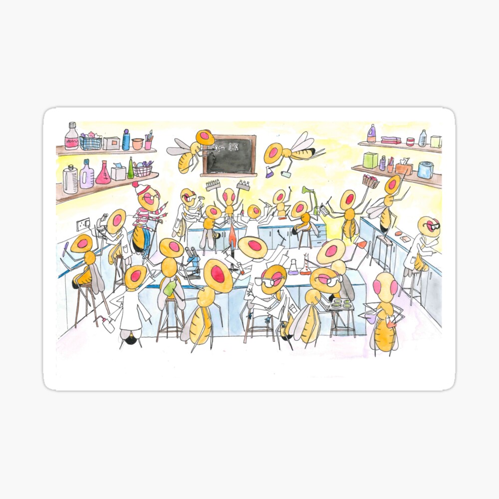 Where's Wally Fruit Fly cartoon Where's Wally Fruit Fly cartoon