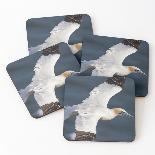 Item preview, Northern gannet up close designed and sold by wellsie82.