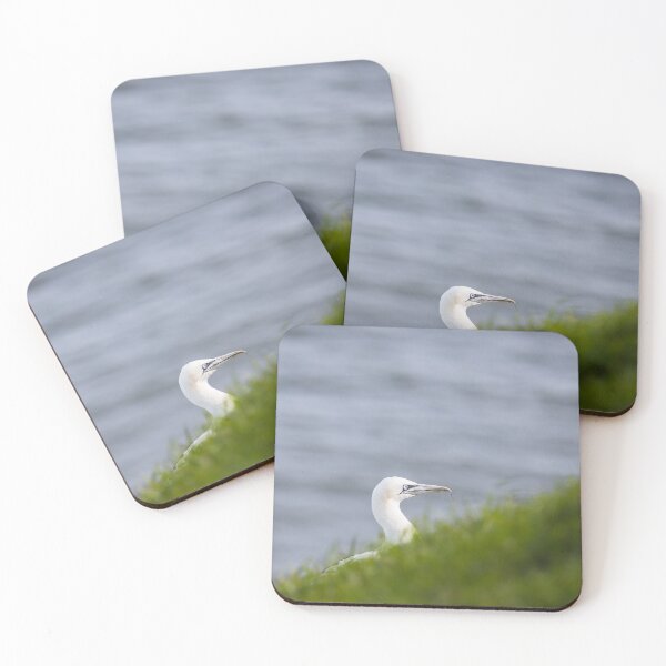 Item preview, Northern gannet behind grass on the cliff top designed and sold by wellsie82.