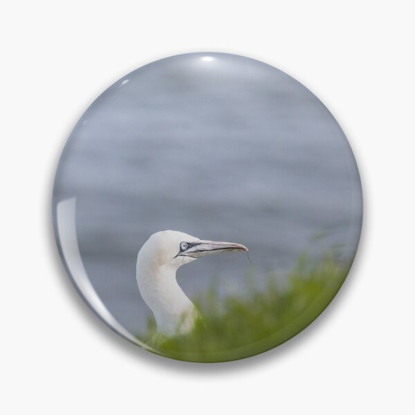 Item preview, Northern gannet behind grass on the cliff top designed and sold by wellsie82.