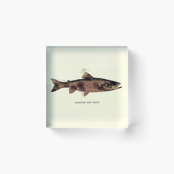 Item preview, Canadian Red Trout Vintage Art for the Ocean Lovers and Anglers / Gifts for Fisherman designed and sold by Naumovski.