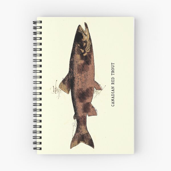 Item preview, Canadian Red Trout Vintage Art for the Ocean Lovers and Anglers / Gifts for Fisherman designed and sold by Naumovski.