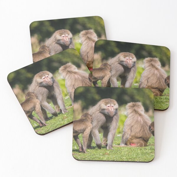 Item preview, Adult Hamadryas baboon showing whos in charge designed and sold by wellsie82.