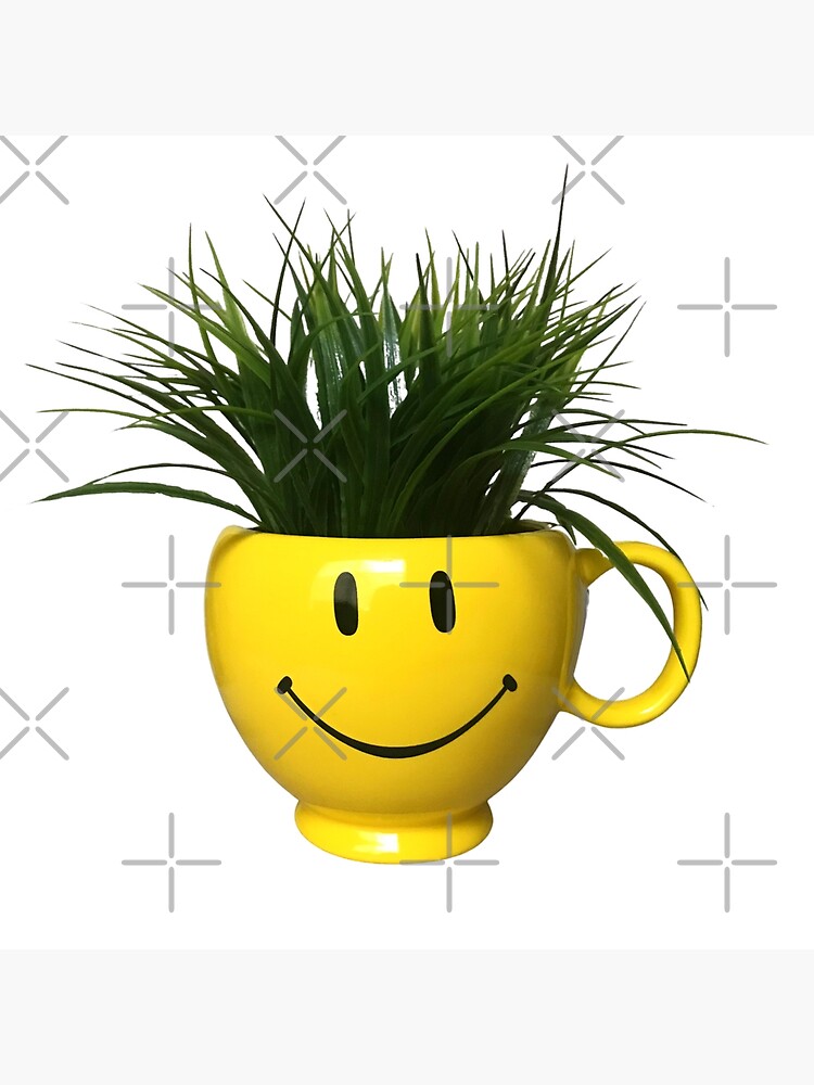 Happy Smile Plant, Happy Face