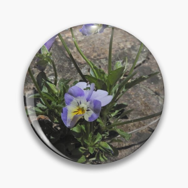Item preview, primrose in the pavement designed and sold by dinodazz.