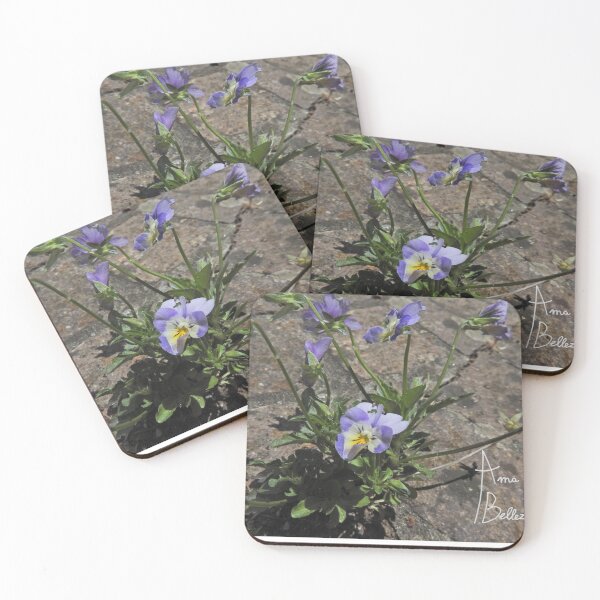 Item preview, primrose in the pavement designed and sold by dinodazz.