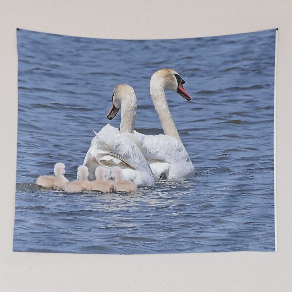 Item preview, r2431/ ornithologique-du-teich  Cygne tuberculé  2018 par Okaio Créations - Olavia-Olao     designed and sold by o.okaïo.