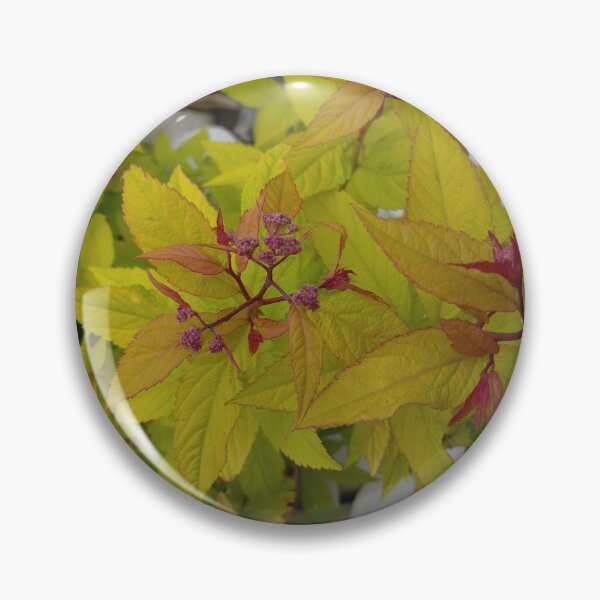 Item preview, bright leaves of Spirea Japanese against the background of white stones designed and sold by Liza-RKS.