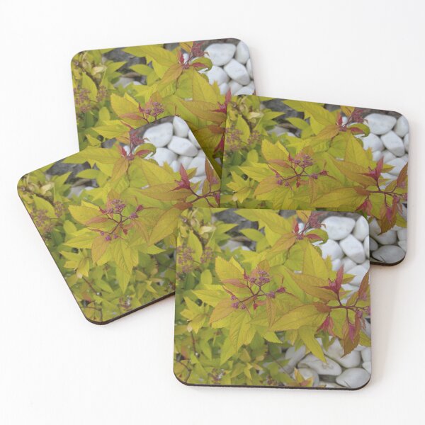 Item preview, bright leaves of Spirea Japanese against the background of white stones designed and sold by Liza-RKS.
