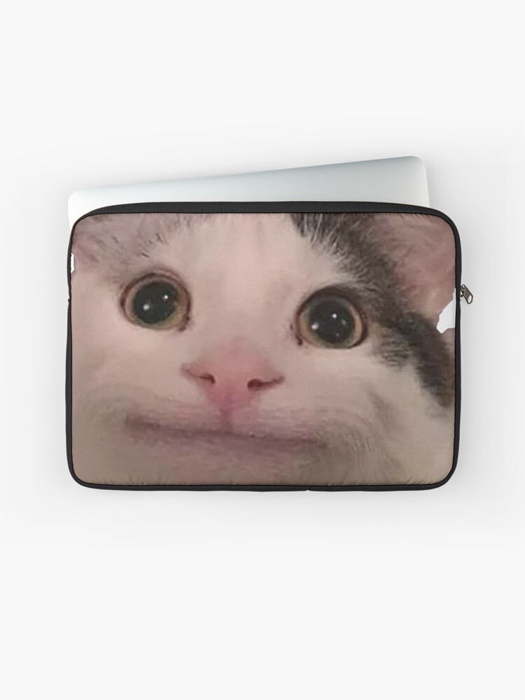 Funny Cat Purse 