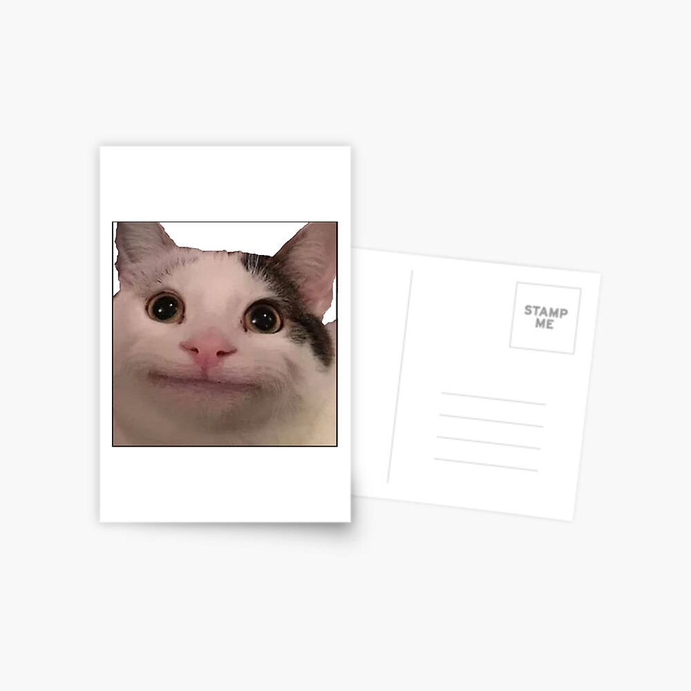 Polite cat meme, funny cat meme Sticker for Sale by ElevenGraphics