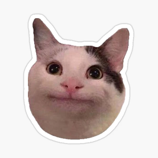 standing cat pfp meme : r/teenagers