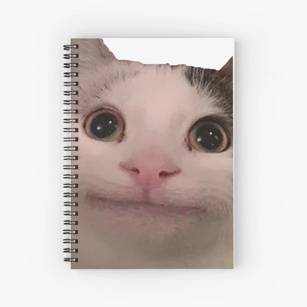 ✧確認用✧blue meme cat✧signature note book✧ - 日用品/インテリア