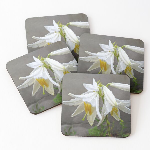 Item preview, white lily flowers in inflorescence on a branch in water droplets designed and sold by Liza-RKS.