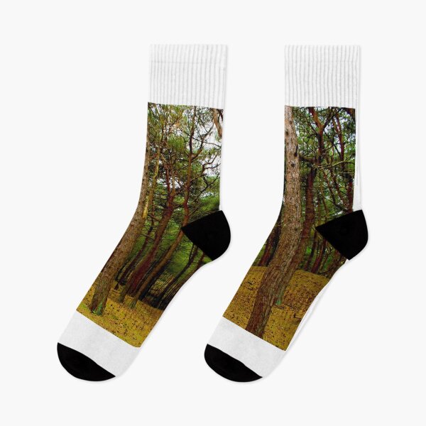 Item preview, Misty Forest of Magical Trees designed and sold by BritishYank.