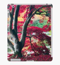 Acer iPad Case/Skin