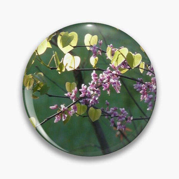 Artikelvorschau, Östlicher Redbud, der im Frühling blüht entworfen und verkauft von Patrincia.