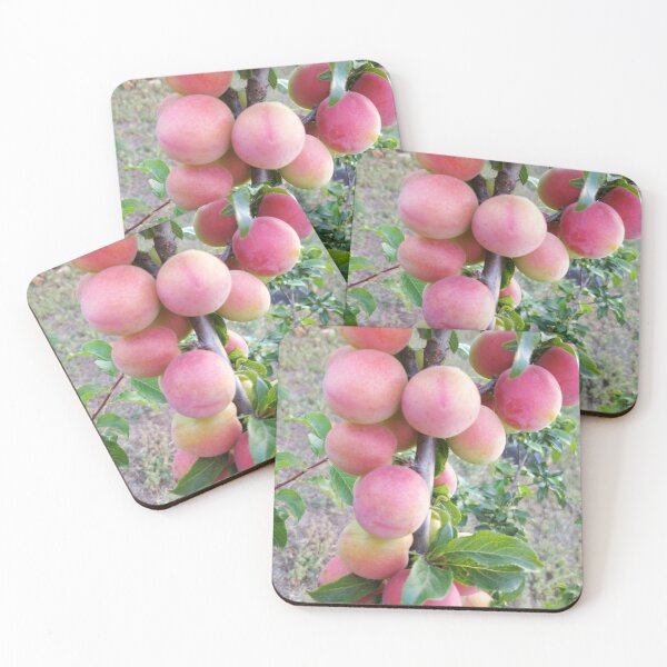 Item preview, red plum fruit of plums on a tree branch designed and sold by Liza-RKS.