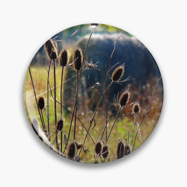 Item preview, Thistle Seeds Pods and Hay Bales  designed and sold by Patrincia.