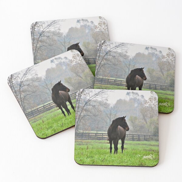 Item preview, Black Horse in the Fog designed and sold by Patrincia.