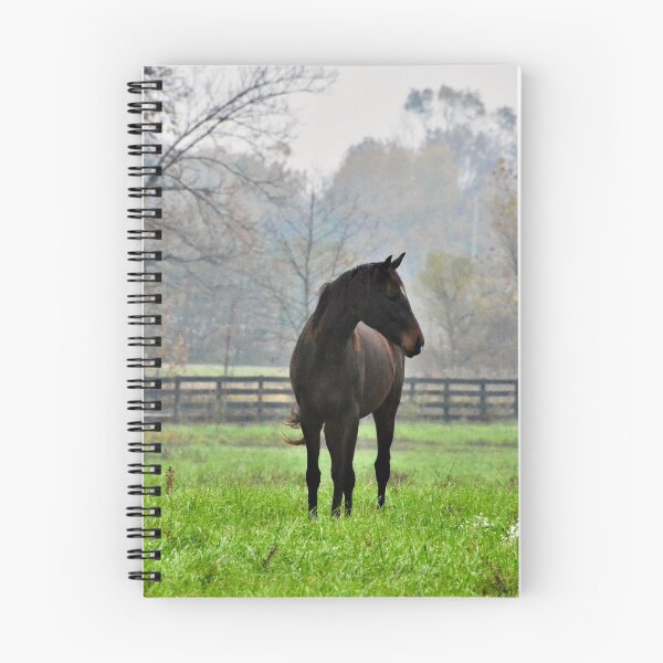Item preview, Black Horse in the Fog designed and sold by Patrincia.
