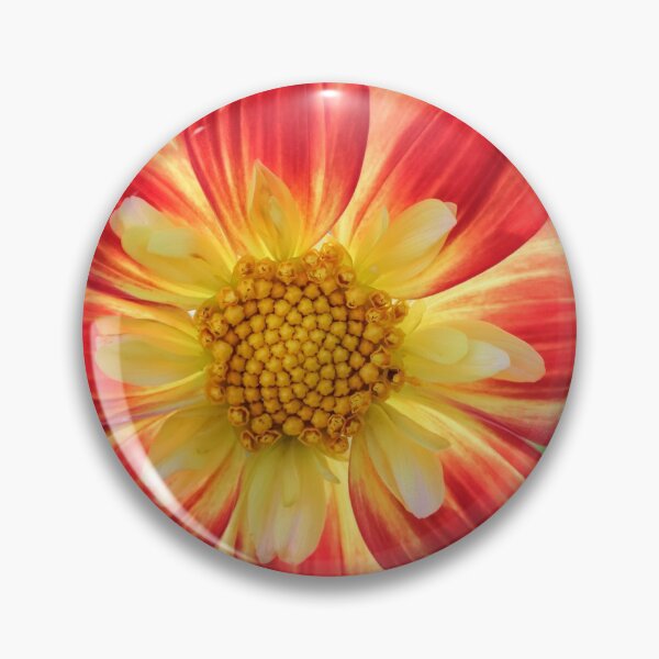 Item preview, Colourful Dahlia. designed and sold by John Ray.