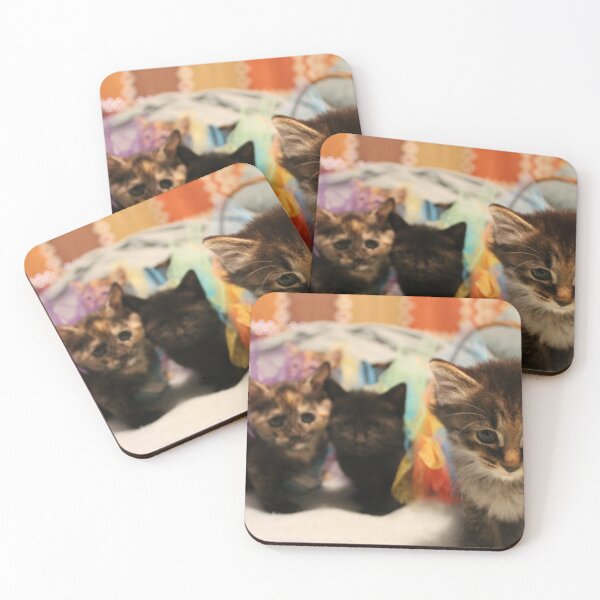 Item preview, The Floofs- a death metal kitten band in training designed and sold by MagicalBrtakins.