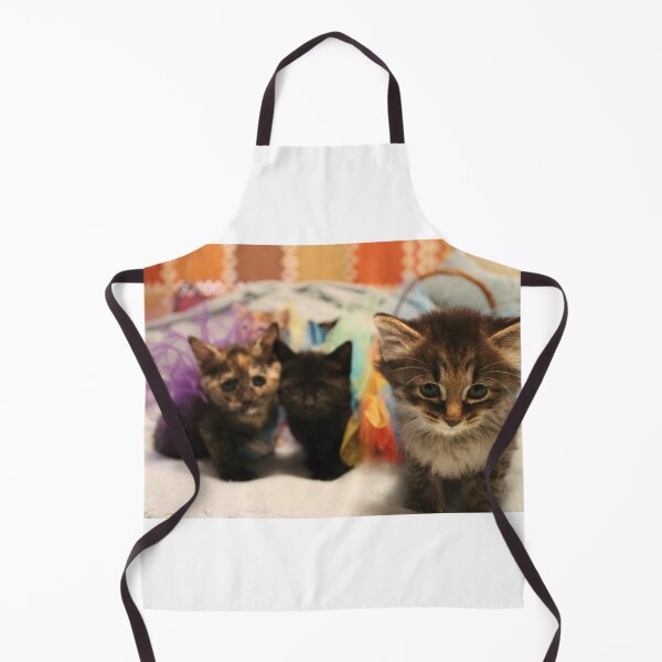 Item preview, The Floofs- a death metal kitten band in training designed and sold by MagicalBrtakins.