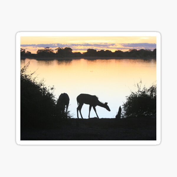 Vista previa del artículo con la obra «Siluetas de antílope al atardecer. Río Chobe, Sudáfrica», diseñado y vendido por KarenZuk.