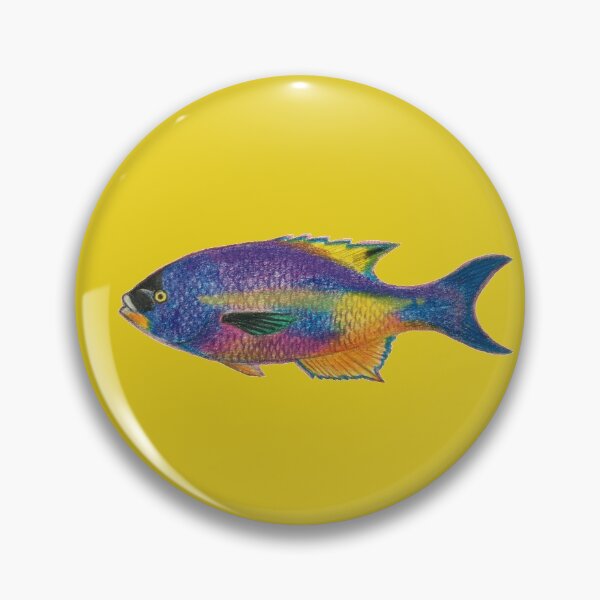Item preview, Creole Wrasse  designed and sold by Actinops.