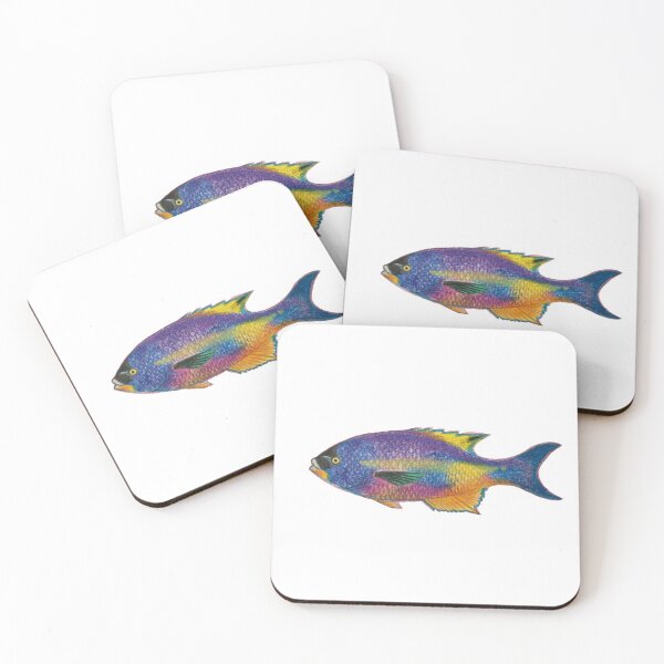 Item preview, Creole Wrasse  designed and sold by Actinops.