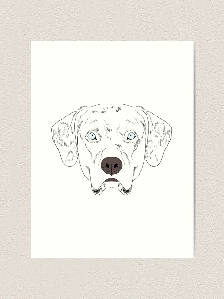 Louisiana Catahoula Leopard Dog